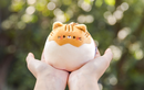 Kitty Bun Plush Toy Keychain