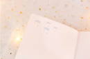 100 Days Bucket List Journal