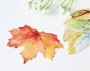 Written on a Leaf Greeting Cards