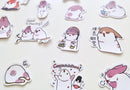 Chubby Rabbit Stickers Set