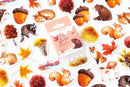 Forest Animals Paper Stickers
