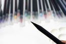 Akashiya Sai Watercolor Brush Pen - 20 Color Set