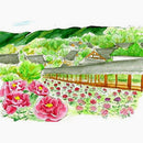 Akashiya Sai Watercolor Brush Pen - 5 Spring Color Set