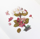 Appree Pressed Flower Stickers - Apple Blossom