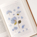 Appree Pressed Flower Stickers - Bigleaf Hydrangea