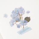Appree Pressed Flower Stickers - Bigleaf Hydrangea