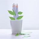 Appree Leaf Sticky Memo Notes - Brown Birch