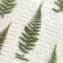 Appree Pressed Flower Stickers - Bracken Fern