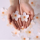 Appree Leaf Sticky Memo Notes - Pink Cherry Blossom