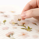 Appree Pressed Flower Stickers - Cherry Blossom