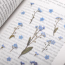 Appree Pressed Flower Stickers - Forget-me-not