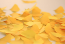 Appree Leaf Sticky Memo Notes - Yellow Ginkgo