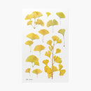 Appree Pressed Flower Stickers - Ginkgo