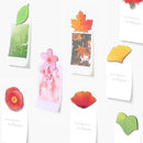 Appree Leaf Magnet Set - Ivy