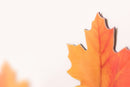 Appree Leaf Magnet Set - Maple