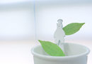 Appree Leaf Sticky Memo Notes - Green Birch