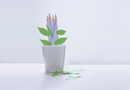 Appree Leaf Sticky Memo Notes - Green Birch