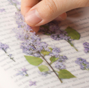 Appree Pressed Flower Stickers - Lilac