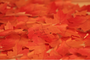Appree Leaf Sticky Memo Notes - Yellow Maple