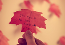 Appree Leaf Sticky Memo Notes - Red Maple
