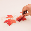 Appree Leaf Sticky Memo Notes - Yellow Maple