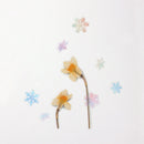 Appree Nature Stickers - Snow