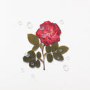 Appree Nature Stickers - Water Droplets