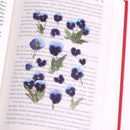 Appree Pressed Flower Stickers - Pansy