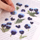 Appree Pressed Flower Stickers - Pansy
