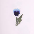 Appree Pressed Flower Stickers - Pansy