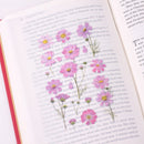 Appree Pressed Flower Stickers - Cosmos