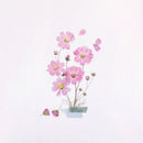 Appree Pressed Flower Stickers - Cosmos
