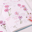 Appree Pressed Flower Stickers - Cosmos
