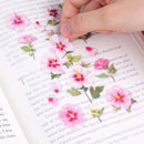 Appree Pressed Flower Stickers - Rose of Sharon