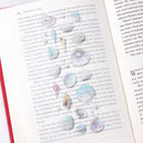 Appree Nature Clear Stickers - Seashell