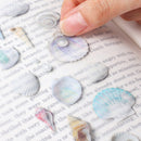 Appree Nature Clear Stickers - Seashell