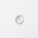 Appree Nature Clear Stickers - Seashell