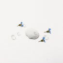 Appree Nature Clear Stickers - Seashell
