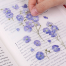 Appree Pressed Flower Stickers - Flax