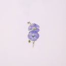 Appree Pressed Flower Stickers - Flax