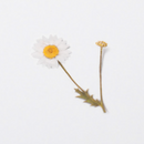 Appree Pressed Flower Stickers - Daisy