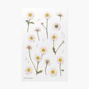 Appree Pressed Flower Stickers - Daisy