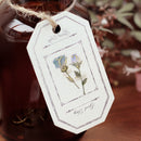 BGM Deco Stickers - Botanical Book