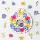 BGM Decorative Paper Stickers - Anemone