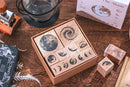 Everything Is Ordinary & You’re Special Stamp Set