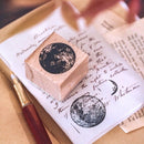 Everything Is Ordinary & You’re Special Stamp Set