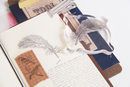 Feather & Flower Stamp Set
