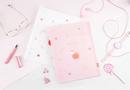 Hello Kitty Clear Book - A4 - 40 Pockets