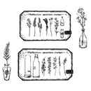 Herbarium Specimen Stamps