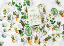 House Plant Paper Stickers